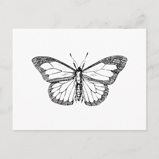Carte Postale Papillon (Devant)