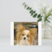 Carte Postale Papillon (Debout devant)