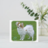 Carte Postale Papillon (Debout devant)