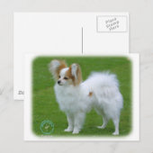 Carte Postale Papillon (Devant / Derrière)