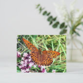 Carte Postale Papillon (Debout devant)