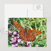 Carte Postale Papillon (Devant / Derrière)