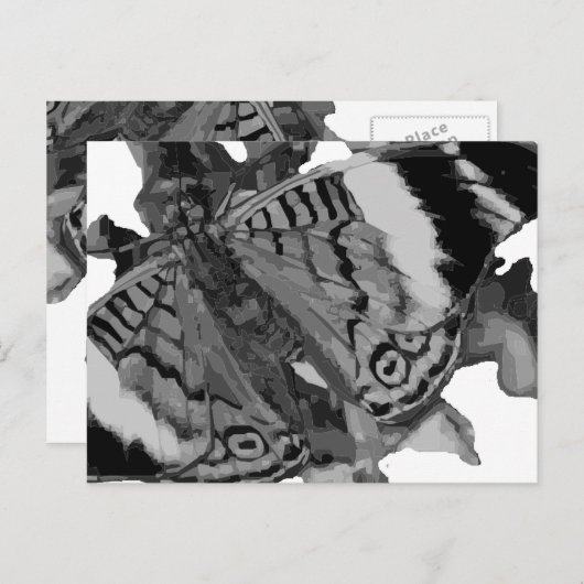 Carte Postale papillon (Devant / Derrière)