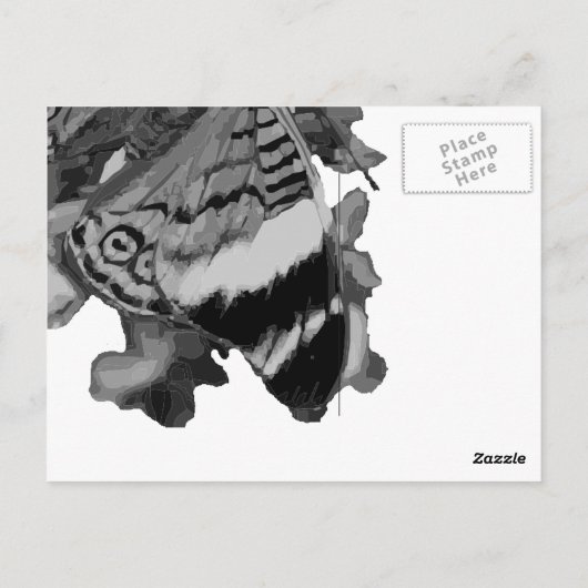 Carte Postale papillon (Dos)