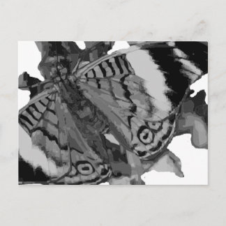 Carte Postale papillon