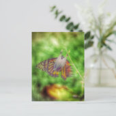 Carte Postale Papillon (Debout devant)