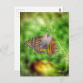 Carte Postale Papillon (Devant / Derrière)