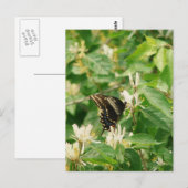 Carte Postale Papillon (Devant / Derrière)