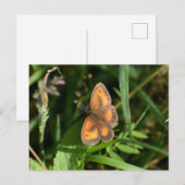 Carte Postale Papillon (Devant / Derrière)