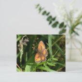 Carte Postale Papillon (Debout devant)