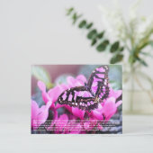Carte postale papillon (Debout devant)