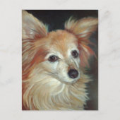 Carte postale Papillon (Devant)