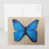 Carte postale papillon (Devant / Derrière)