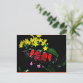 Carte Postale Papillon (Debout devant)