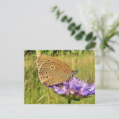 Carte Postale Papillon (Debout devant)