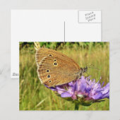Carte Postale Papillon (Devant / Derrière)