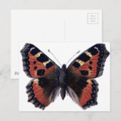 Carte Postale Papillon (Devant / Derrière)