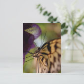 Carte postale papillon (Debout devant)