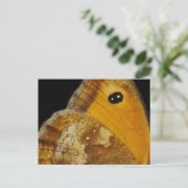 Carte postale Papillon (Debout devant)