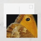 Carte postale Papillon (Devant / Derrière)