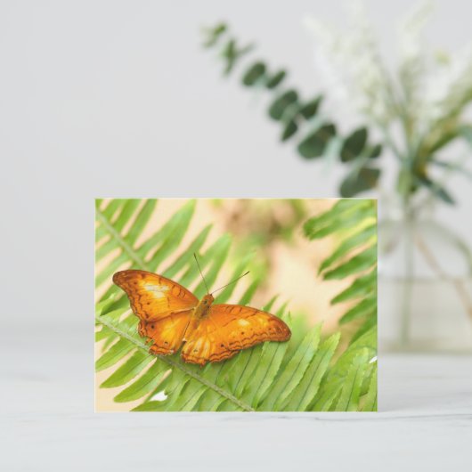 Carte Postale papillon (Debout devant)