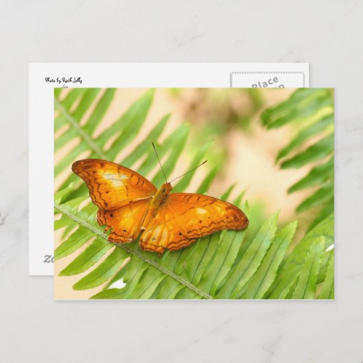 Carte Postale papillon (Devant / Derrière)