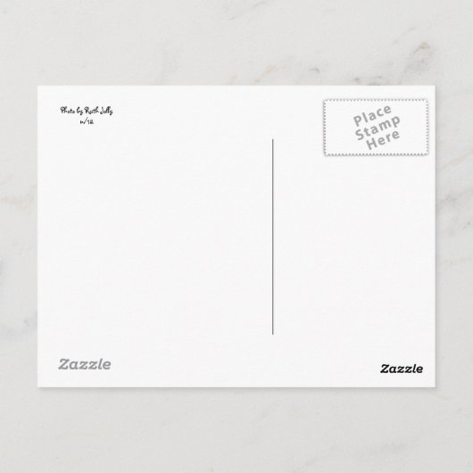 Carte Postale papillon (Dos)