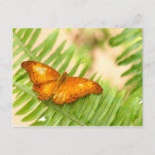 Carte Postale papillon (Devant)