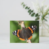 Carte Postale Papillon (Debout devant)