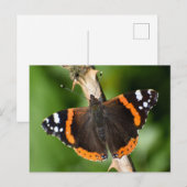 Carte Postale Papillon (Devant / Derrière)