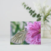 Carte postale papillon (Debout devant)