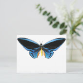 Carte Postale Papillon (Debout devant)