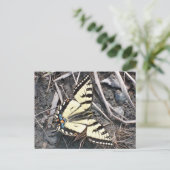 Carte postale papillon (Debout devant)