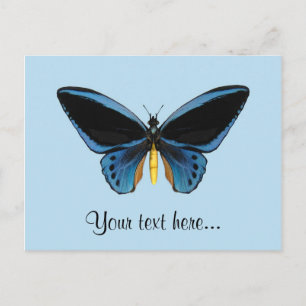 Carte Postale Papillon