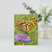 Carte Postale Papillon (Debout devant)