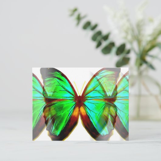 Carte Postale Papillon (Debout devant)