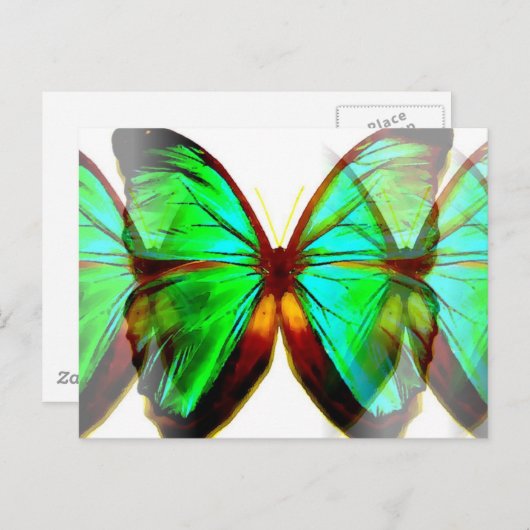 Carte Postale Papillon (Devant / Derrière)