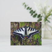 Carte Postale Papillon (Debout devant)