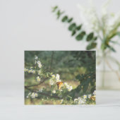 Carte Postale Papillon (Debout devant)