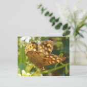 Carte postale papillon (Debout devant)