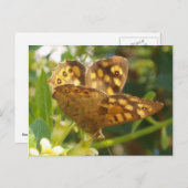 Carte postale papillon (Devant / Derrière)