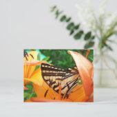 Carte Postale Papillon (Debout devant)