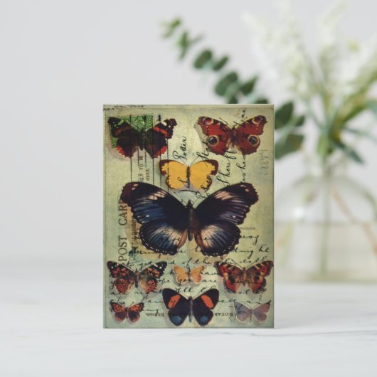 Carte postale papillon (Debout devant)