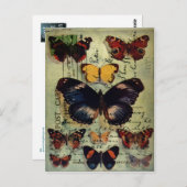 Carte postale papillon (Devant / Derrière)