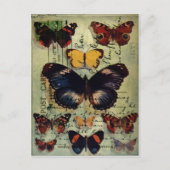Carte postale papillon (Devant)