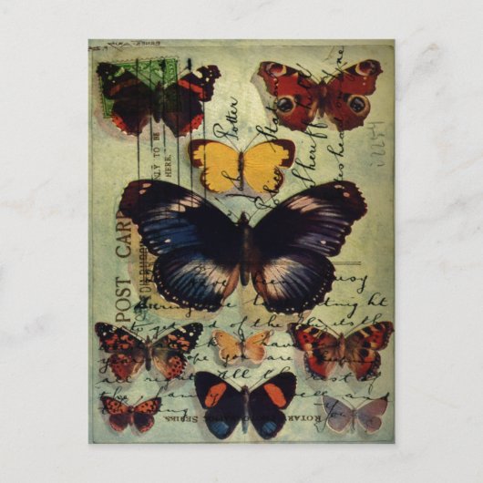 Carte postale papillon (Devant)