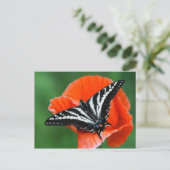 Carte postale papillon (Debout devant)