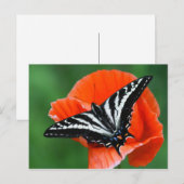 Carte postale papillon (Devant / Derrière)