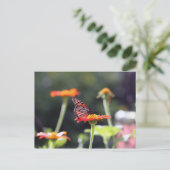 Carte postale papillon (Debout devant)