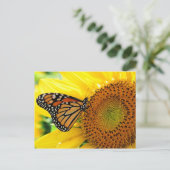 Carte Postale Papillon (Debout devant)